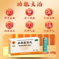 参苓白术丸(同仁堂)